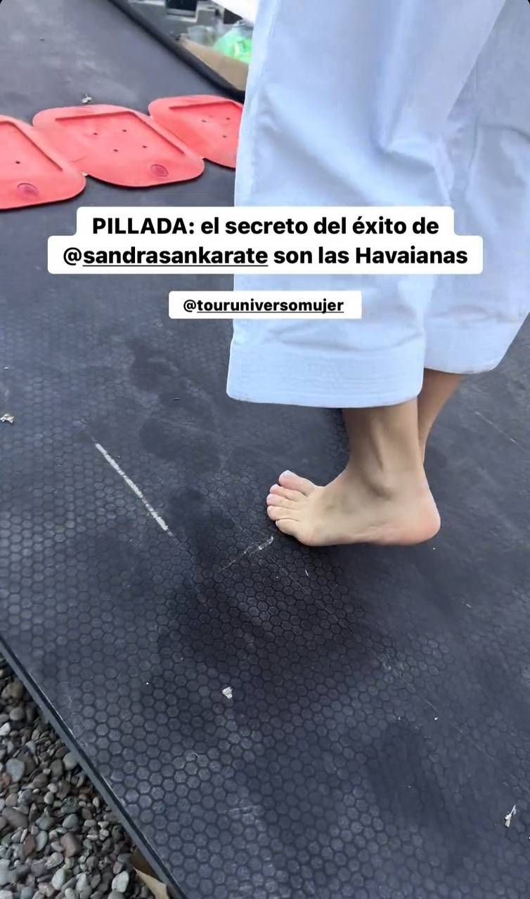 Sandra Sanchez Feet